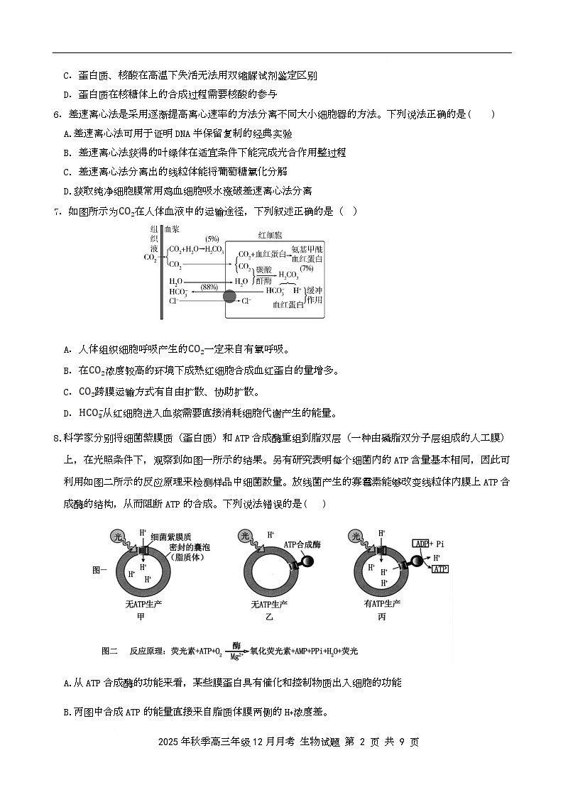 湖北省市级示范高中2025-2026学年高三12月联考  生物试题 湖北省市级示范高中2025-2026学年高三12月联考  生物试题第2页