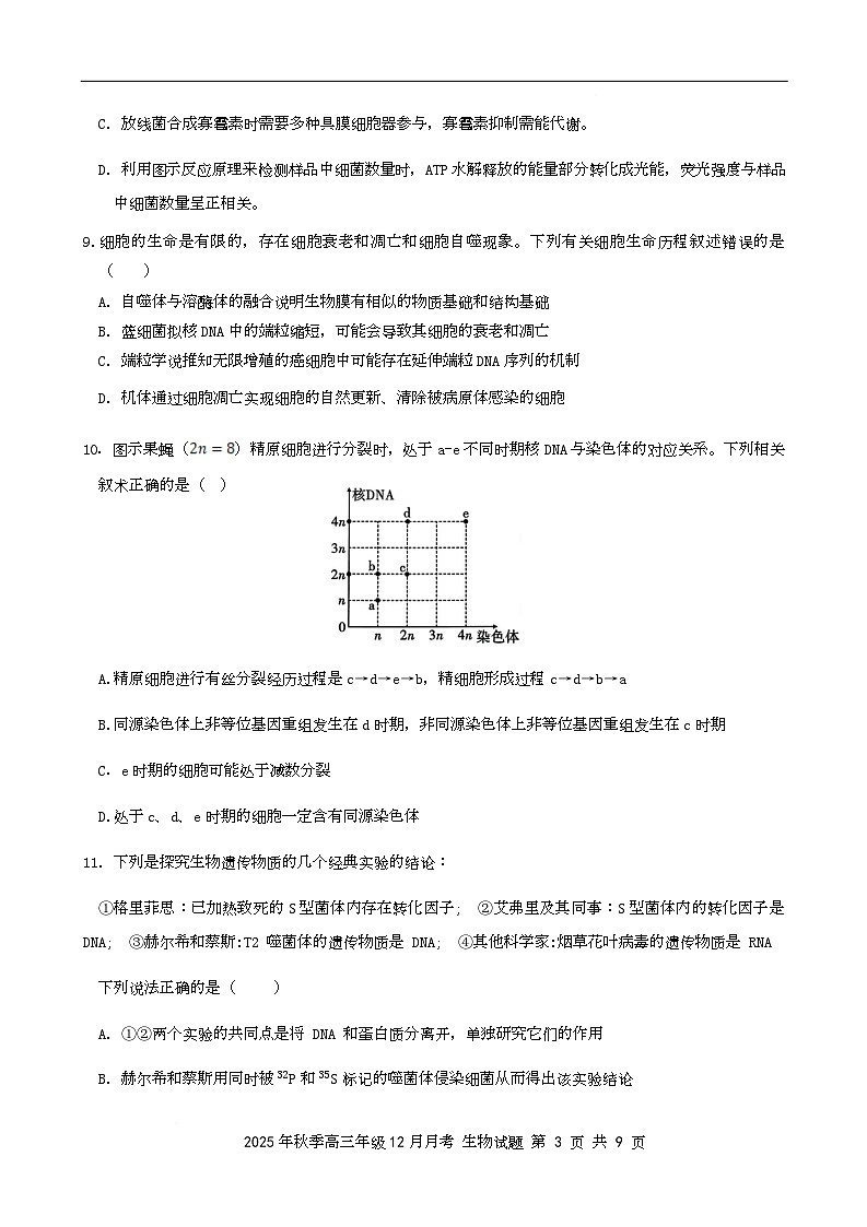 湖北省市级示范高中2025-2026学年高三12月联考  生物试题 湖北省市级示范高中2025-2026学年高三12月联考  生物试题第3页
