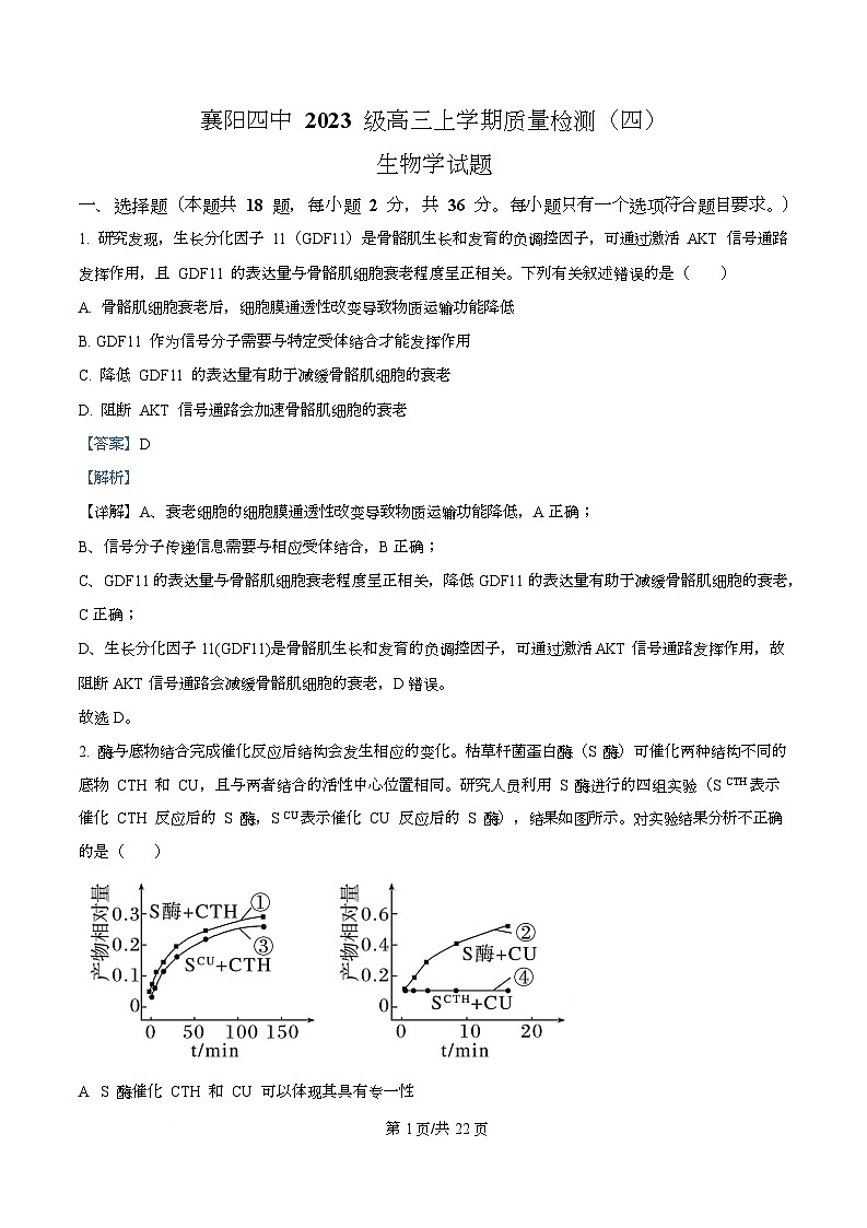 湖北省襄阳市第四中学2025-2026学年高三上学期12月月考生物试题 Word版含解析第1页