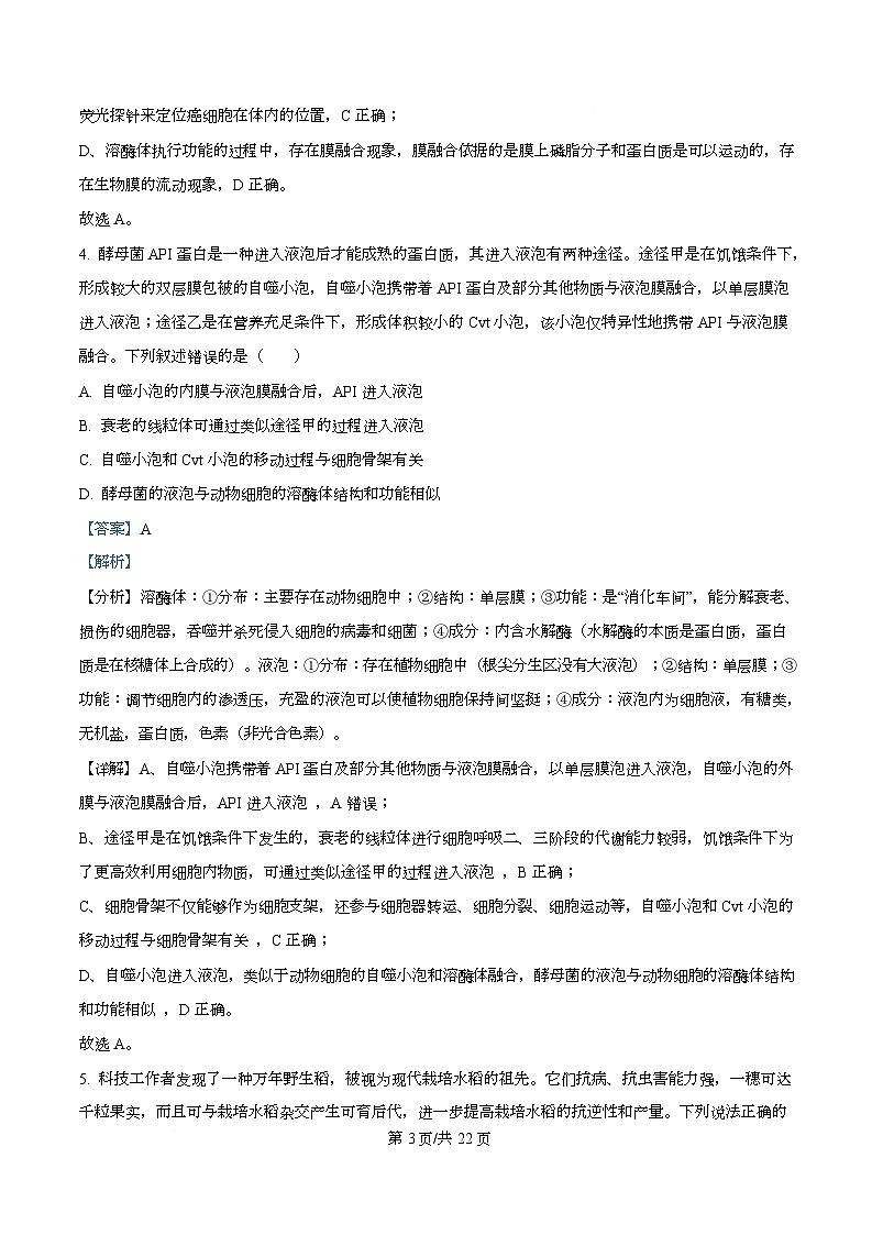湖北省襄阳市第四中学2025-2026学年高三上学期12月月考生物试题 Word版含解析第3页