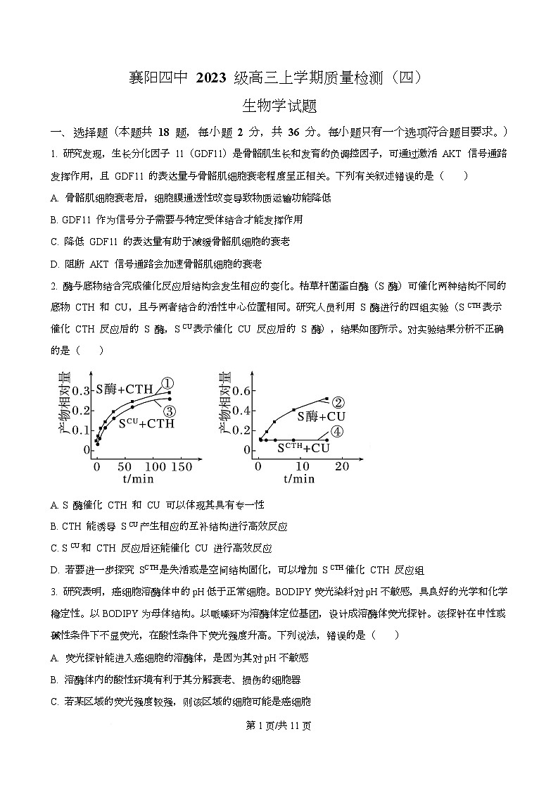 湖北省襄阳市第四中学2025-2026学年高三上学期12月月考生物试题（原卷版）第1页