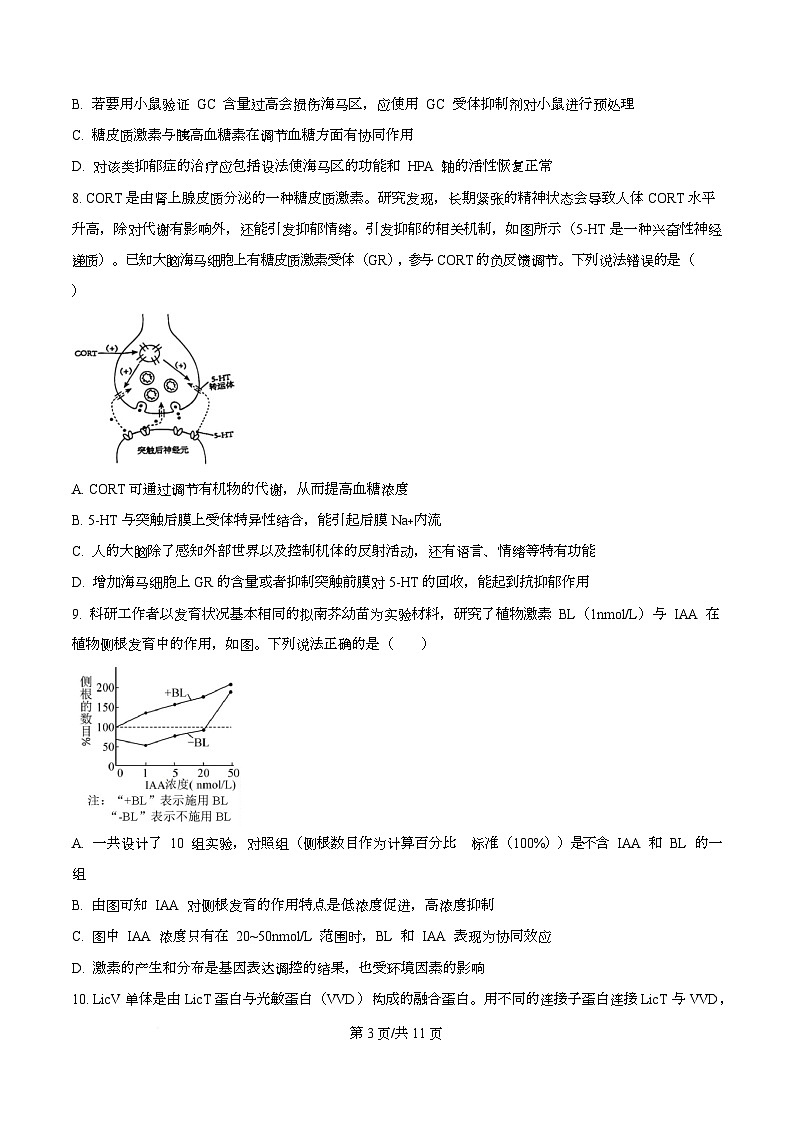 湖北省襄阳市第四中学2025-2026学年高三上学期12月月考生物试题（原卷版）第3页