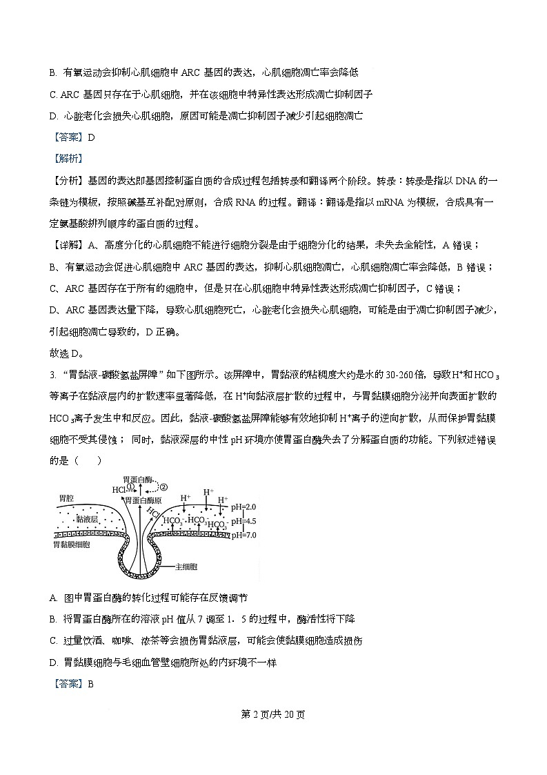 湖南省衡阳市第八中学2025-2026学年高三上学期第三次月考生物试题 Word版含解析第2页