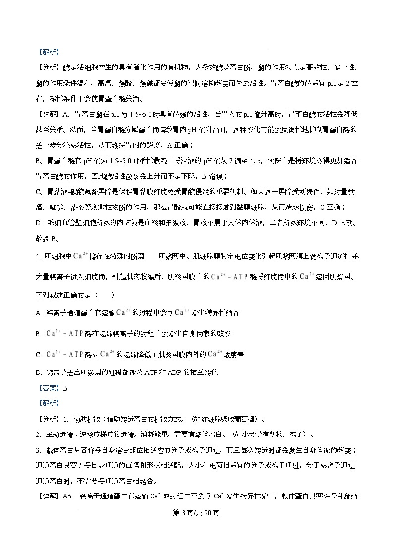 湖南省衡阳市第八中学2025-2026学年高三上学期第三次月考生物试题 Word版含解析第3页