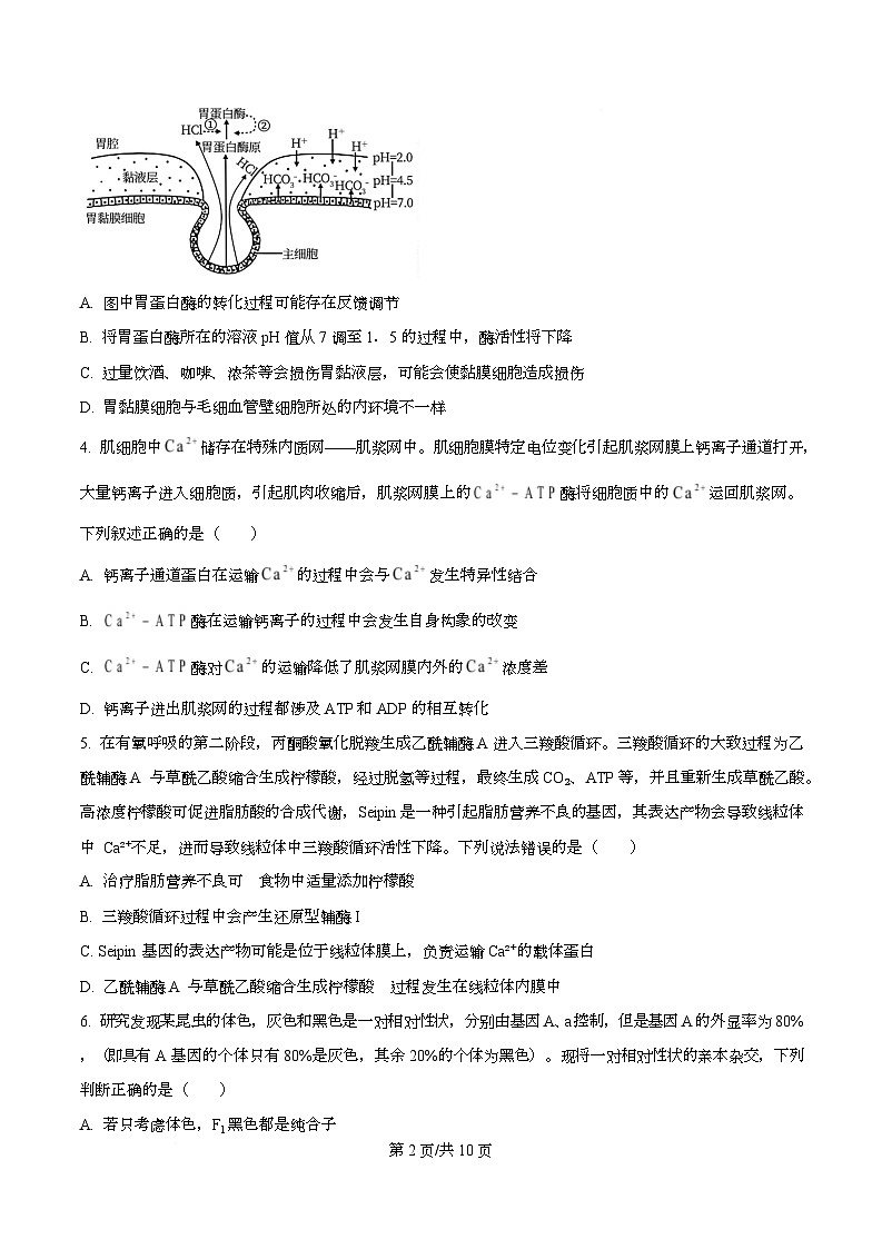湖南省衡阳市第八中学2025-2026学年高三上学期第三次月考生物试题（原卷版）第2页