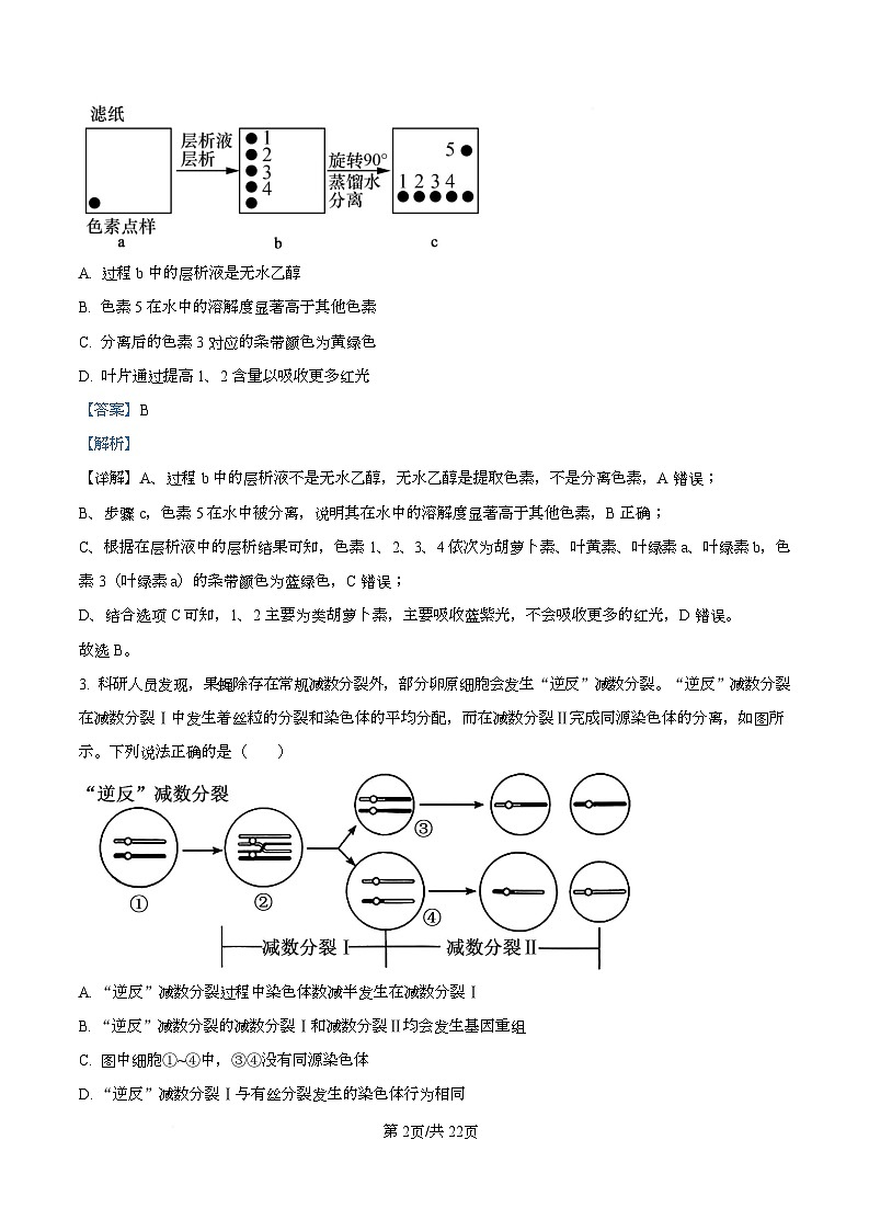 湖南省长沙市雨花区长沙市雅礼中学2025-2026学年高三上学期12月月考生物试题 Word版含解析第2页