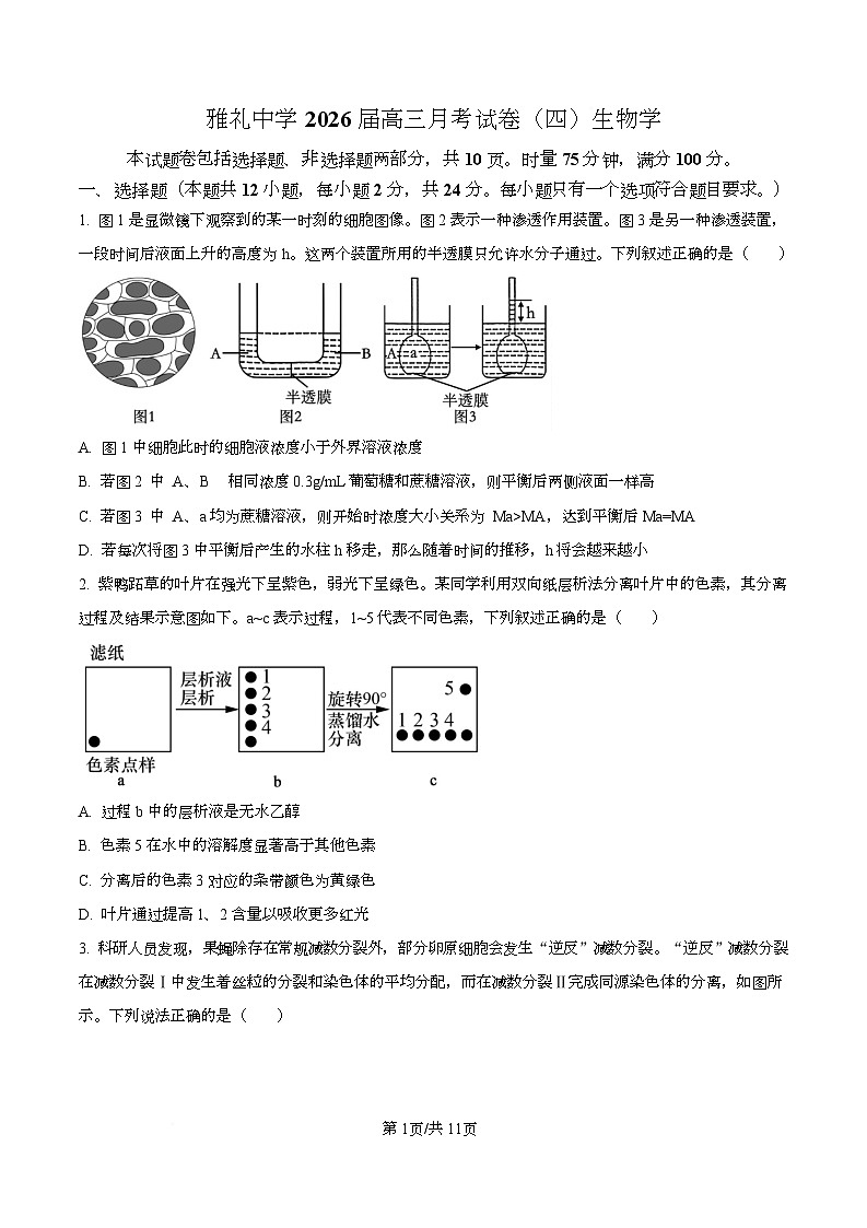湖南省长沙市雨花区长沙市雅礼中学2025-2026学年高三上学期12月月考生物试题（原卷版）第1页