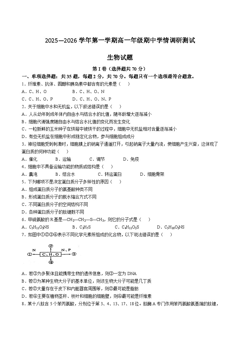 江苏省扬州市高邮市2025-2026学年高一上学期期中考试生物试卷（Word版附答案）第1页