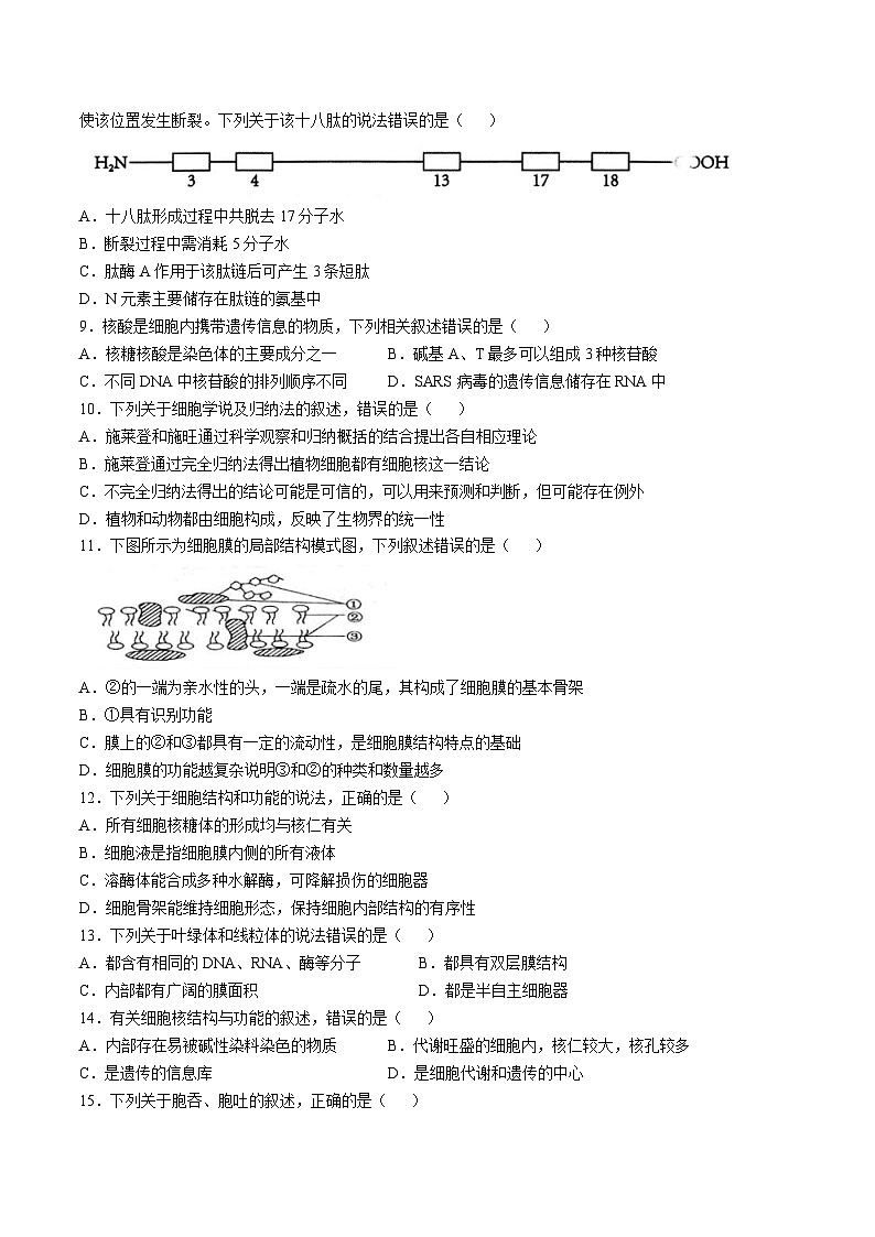 江苏省扬州市高邮市2025-2026学年高一上学期期中考试生物试卷（Word版附答案）第2页