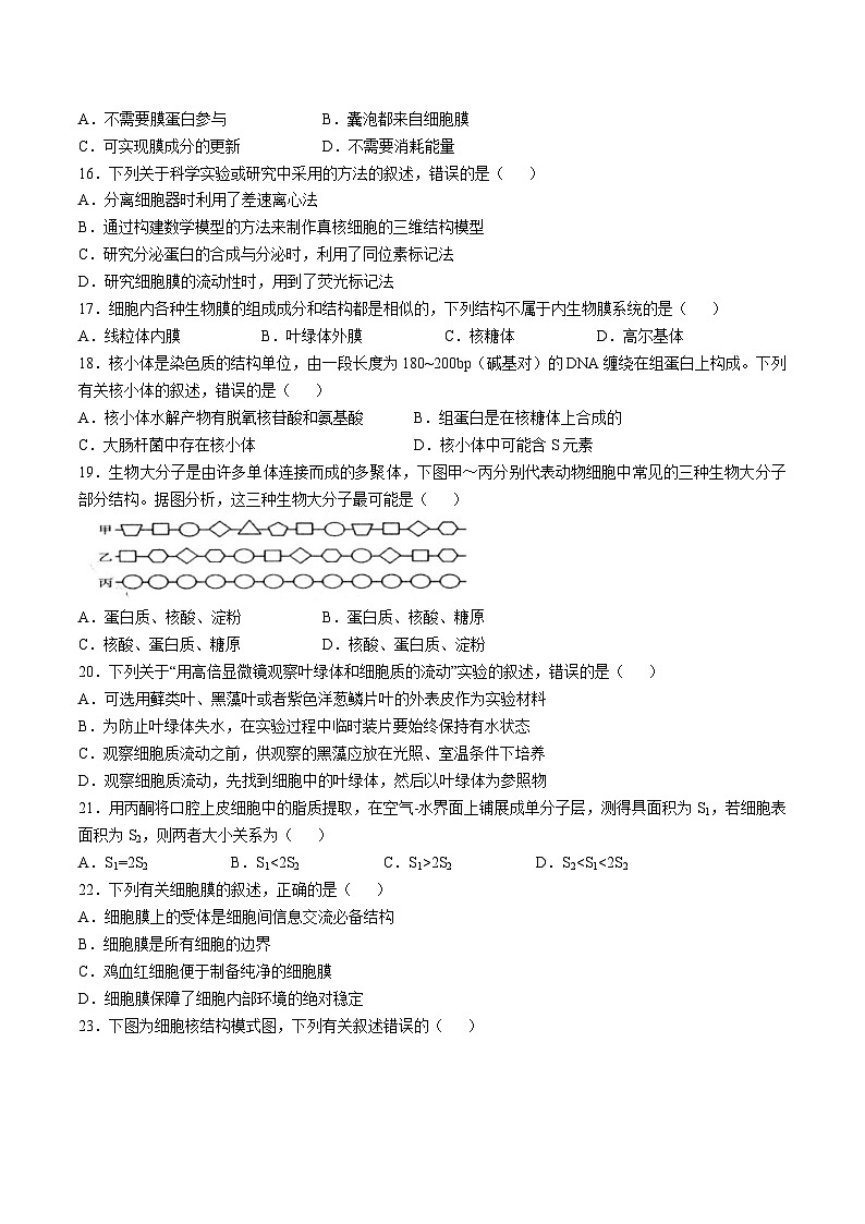江苏省扬州市高邮市2025-2026学年高一上学期期中考试生物试卷（Word版附答案）第3页
