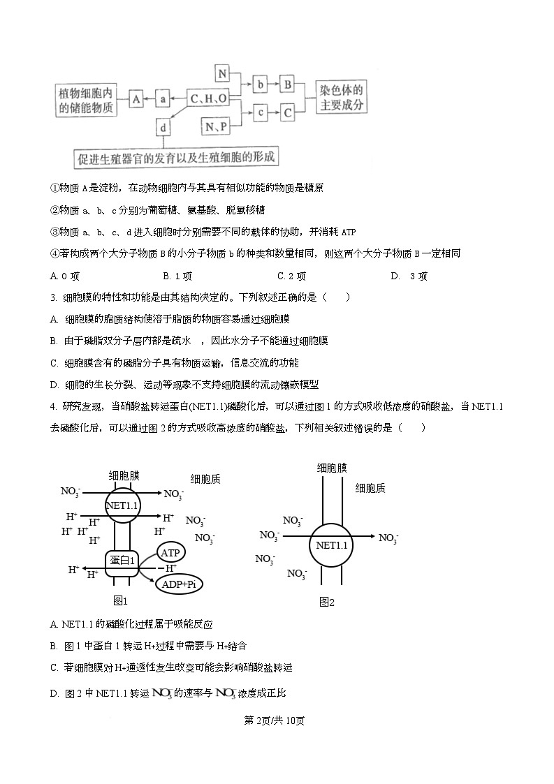 2026届湖北省八校联考二模生物试题（原卷版）第2页