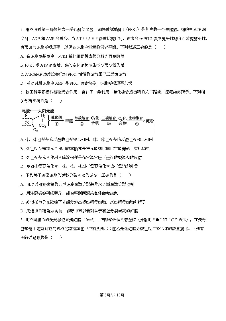 2026届湖北省八校联考二模生物试题（原卷版）第3页