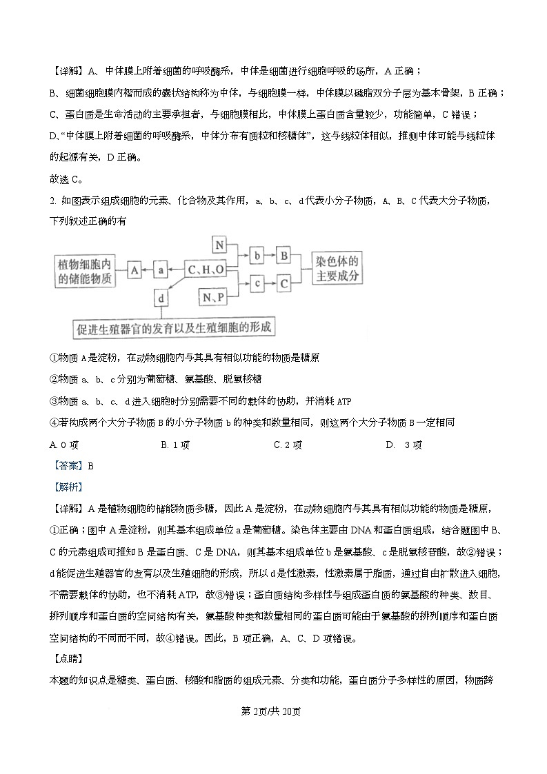 2026届湖北省八校联考二模生物试题 Word版含解析第2页