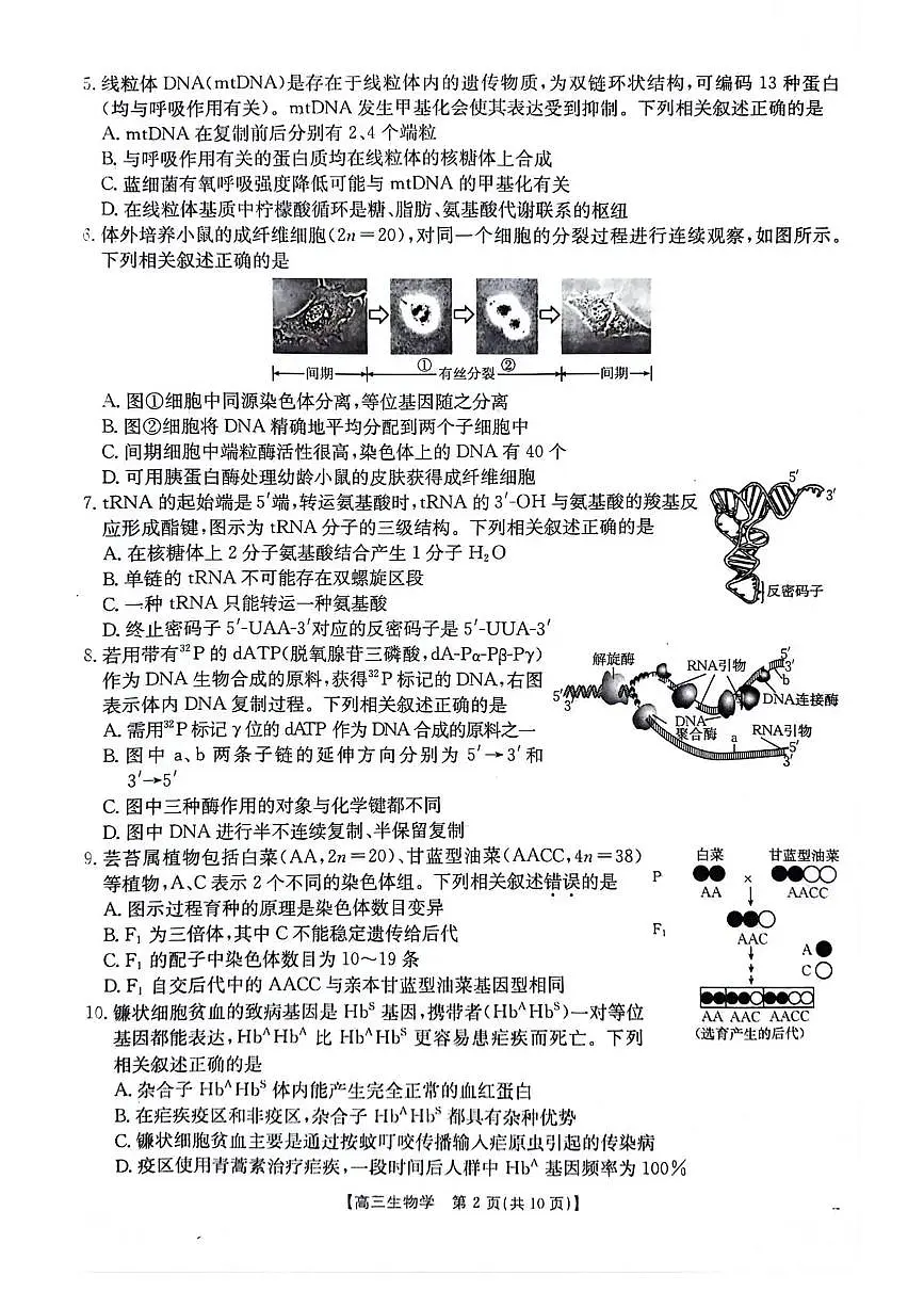 生物-江苏省2026届高三12月金太阳百校大联考试题及答案第2页