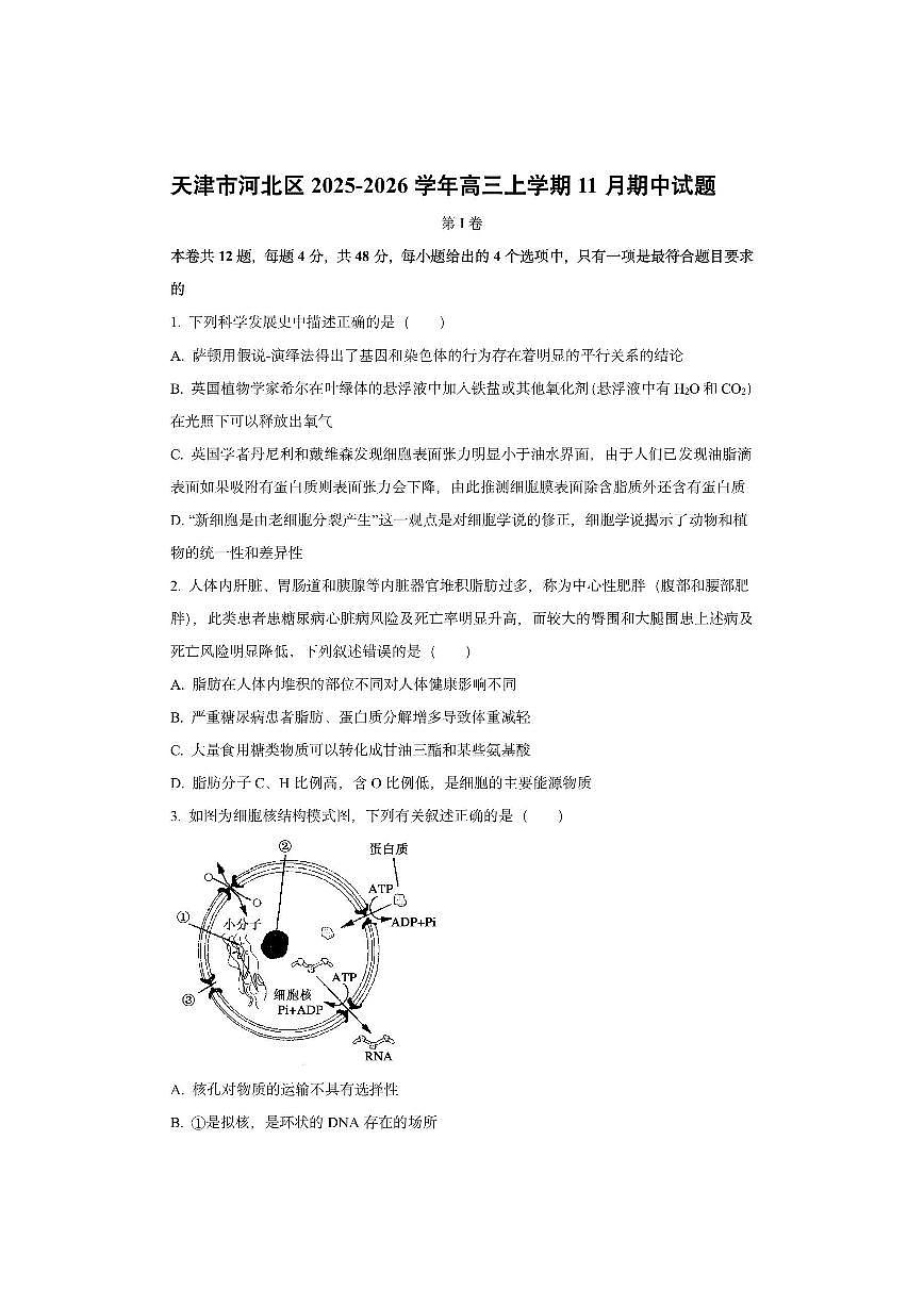 天津市河北区2025-2026学年高三上学期11月期中生物试卷（学生版）第1页