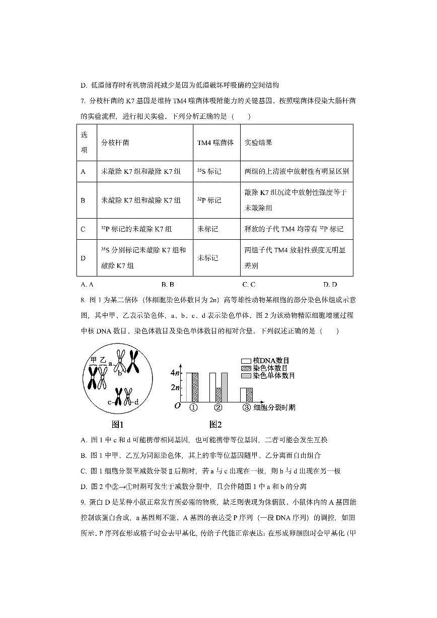 天津市河北区2025-2026学年高三上学期11月期中生物试卷（学生版）第3页