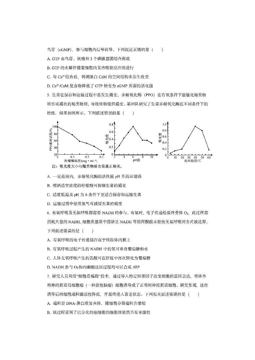 山东省临沂市2025-2026学年高三上学期期中考试生物试卷（学生版）第2页