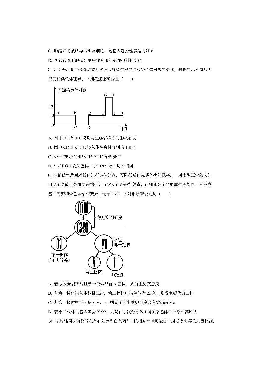 山东省临沂市2025-2026学年高三上学期期中考试生物试卷（学生版）第3页