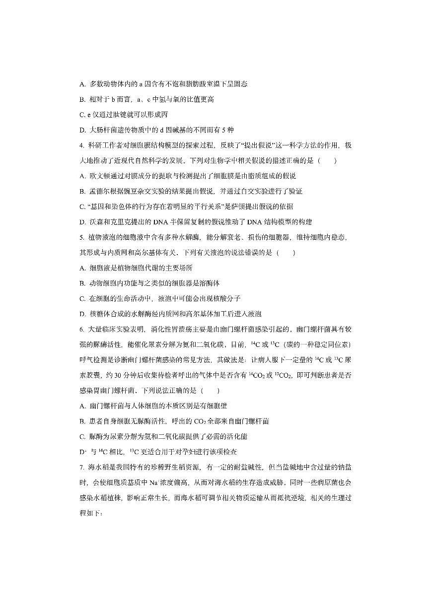 湖北省黄冈市部分高中2025-2026学年高三上学期期中生物试卷（学生版）第2页