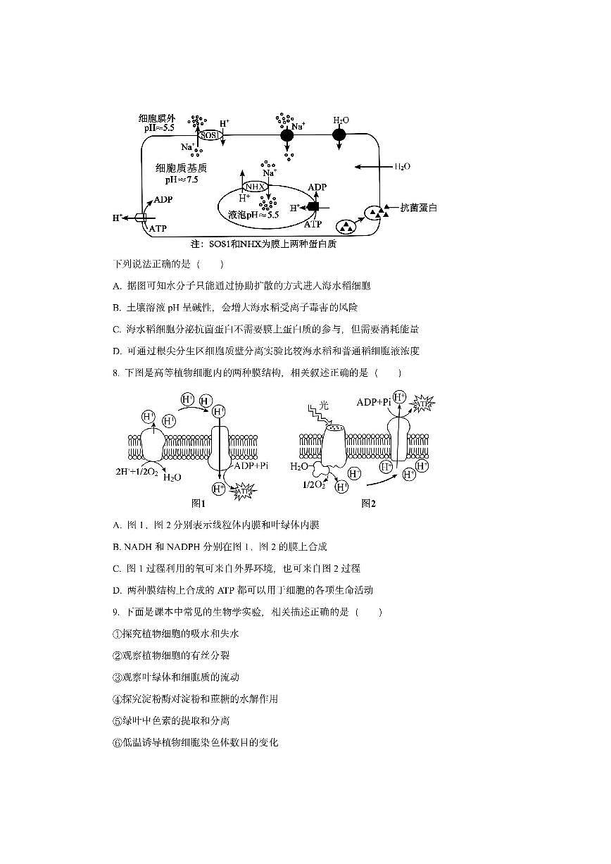 湖北省黄冈市部分高中2025-2026学年高三上学期期中生物试卷（学生版）第3页