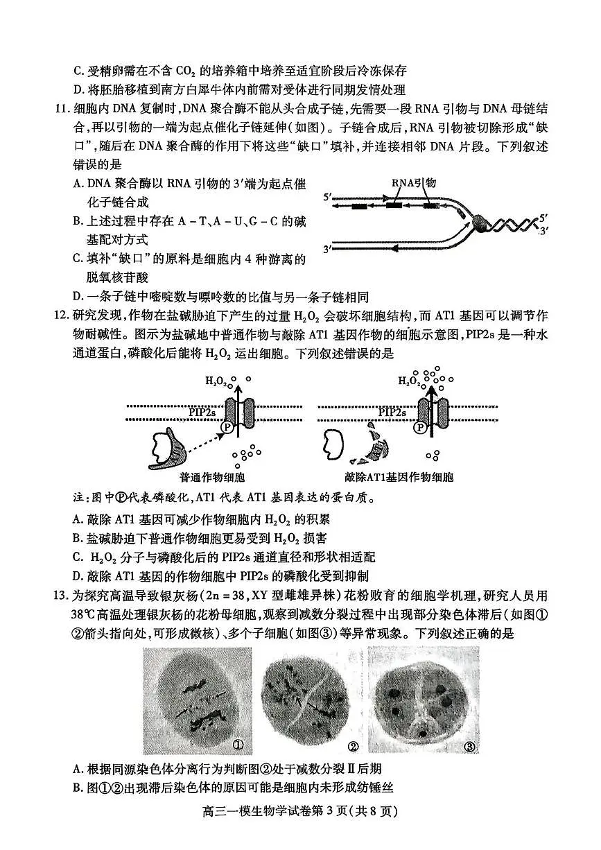 内江市高中2026届第一次模拟考试题生物第3页