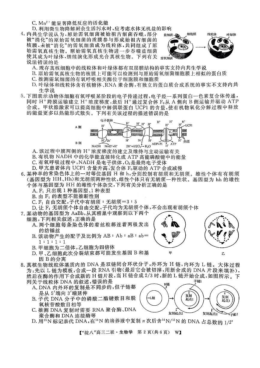 生物试卷-2026届安徽省“皖南八校”高三第二次大联考第2页