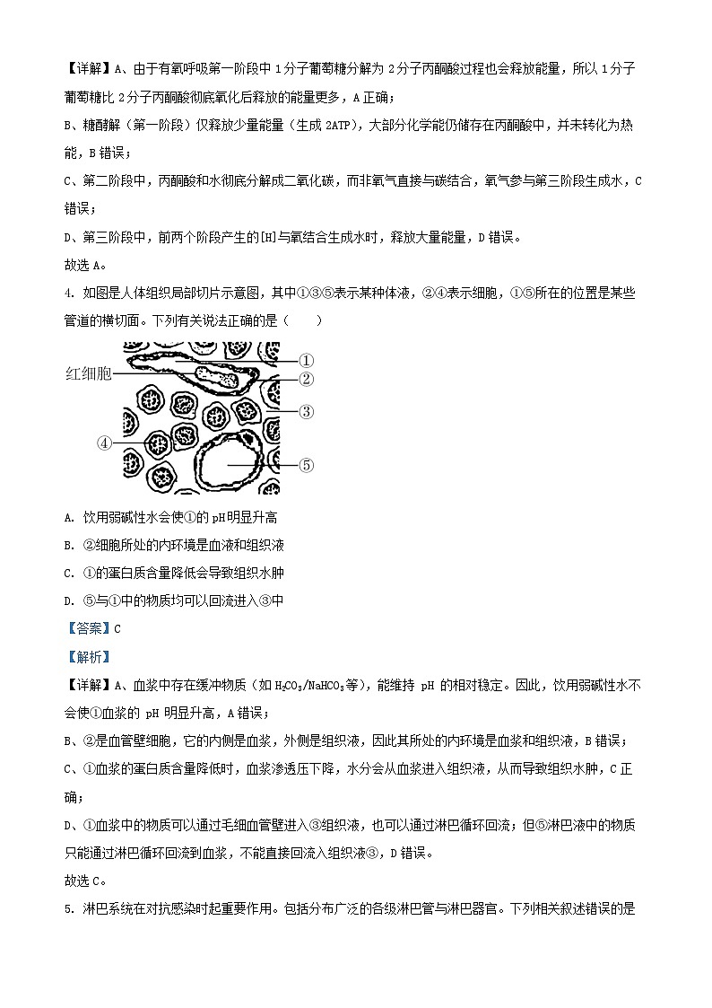 浙江省2025_2026学年高二生物上学期11月期中试题含解析第2页