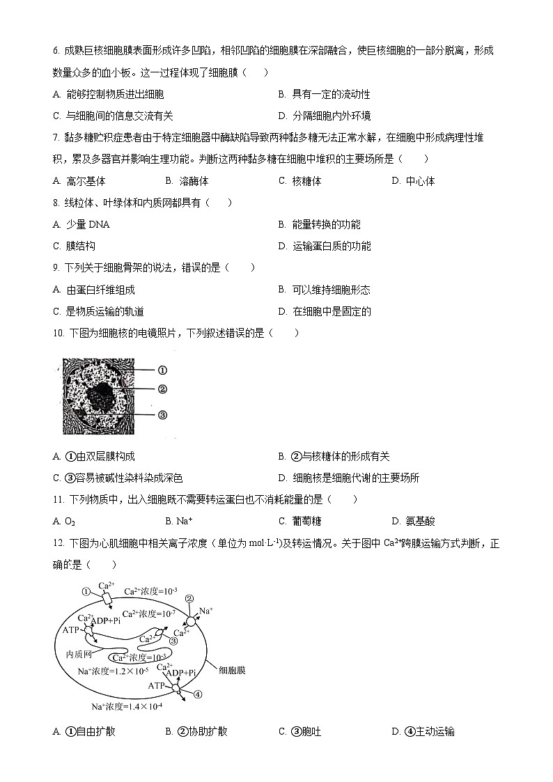 北京市西城区高一上学期期末考试生物试题（原卷版）-A4第2页