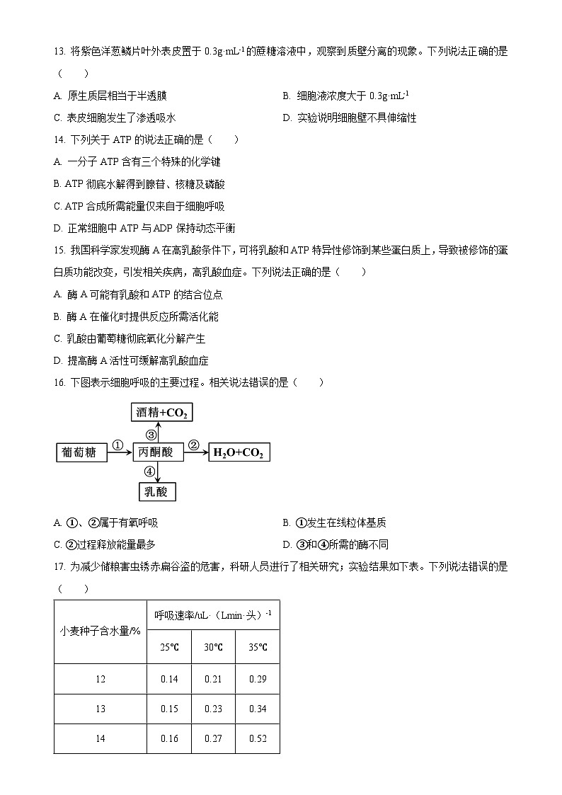 北京市西城区高一上学期期末考试生物试题（原卷版）-A4第3页
