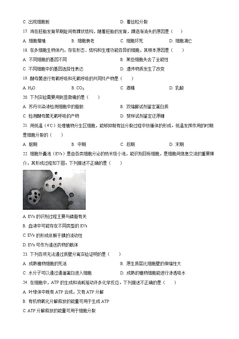 北京市顺义区高一上学期1月期末生物试题（原卷版）-A4第3页