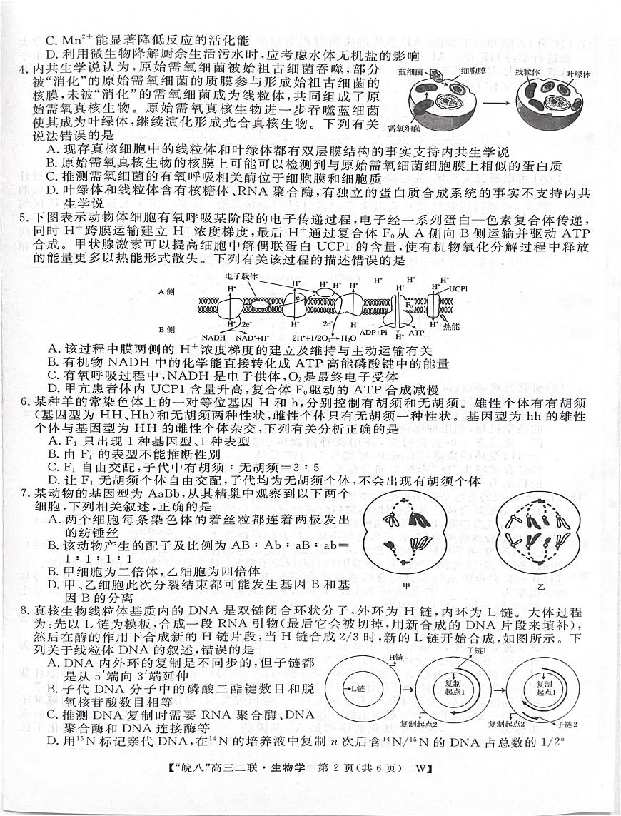 2026届皖南八校高三第二次大联考生物试题（高考模拟）第2页