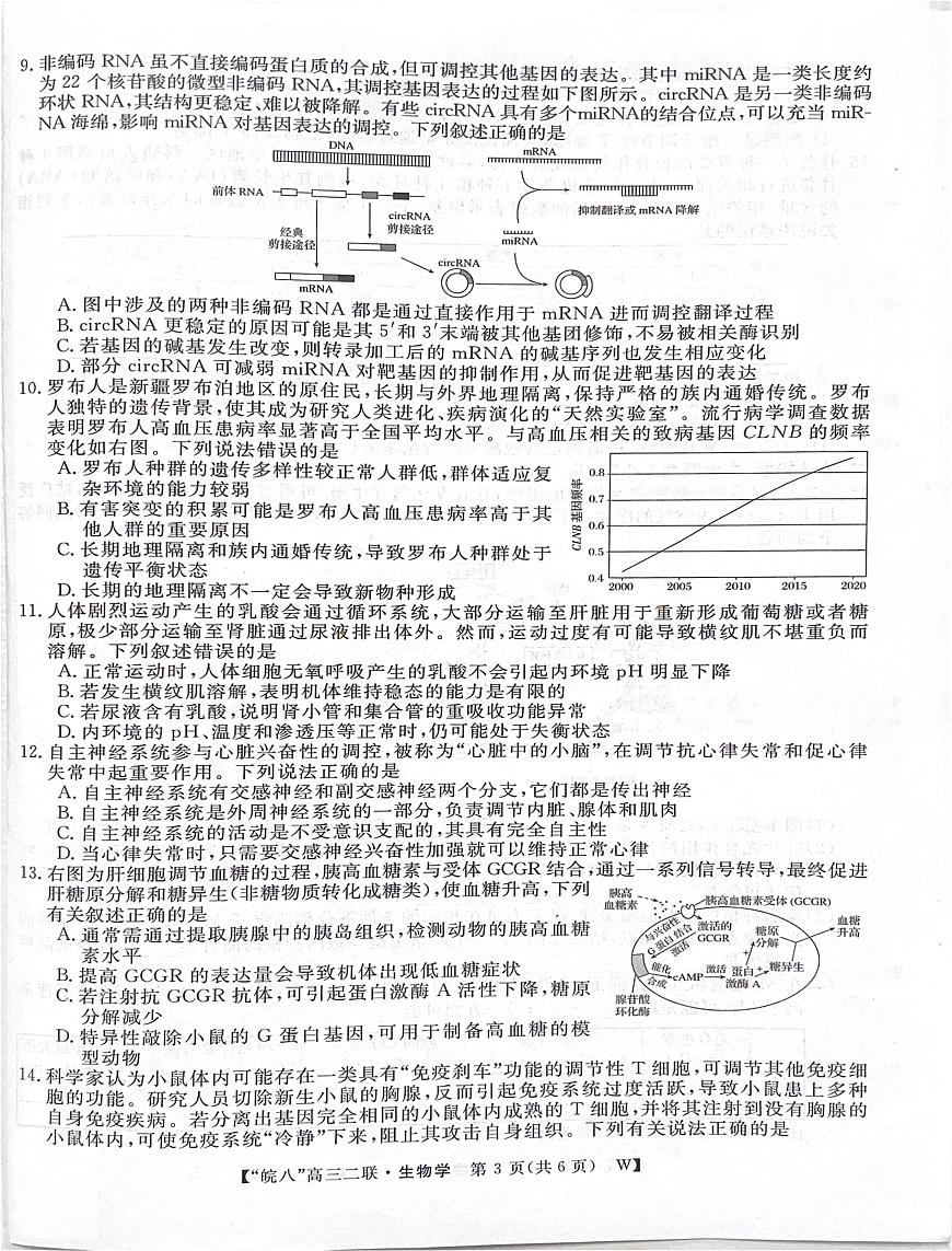 2026届皖南八校高三第二次大联考生物试题（高考模拟）第3页
