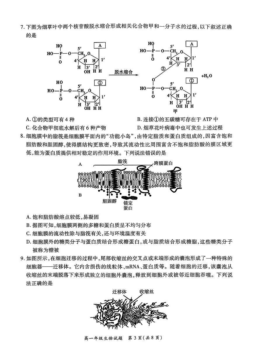 河南省南阳市六校2025-2026学年高一上学期第二次联考生物试题（月考）第3页