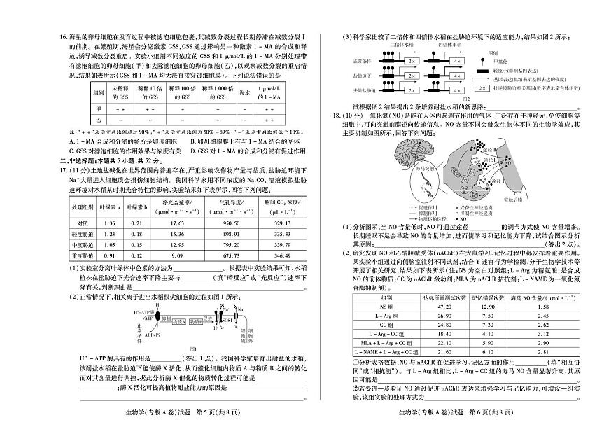 陕西省甘肃省天一大联考2025-2026学年高三上学期顶尖计划（二）生物学专版A卷（月考）第3页