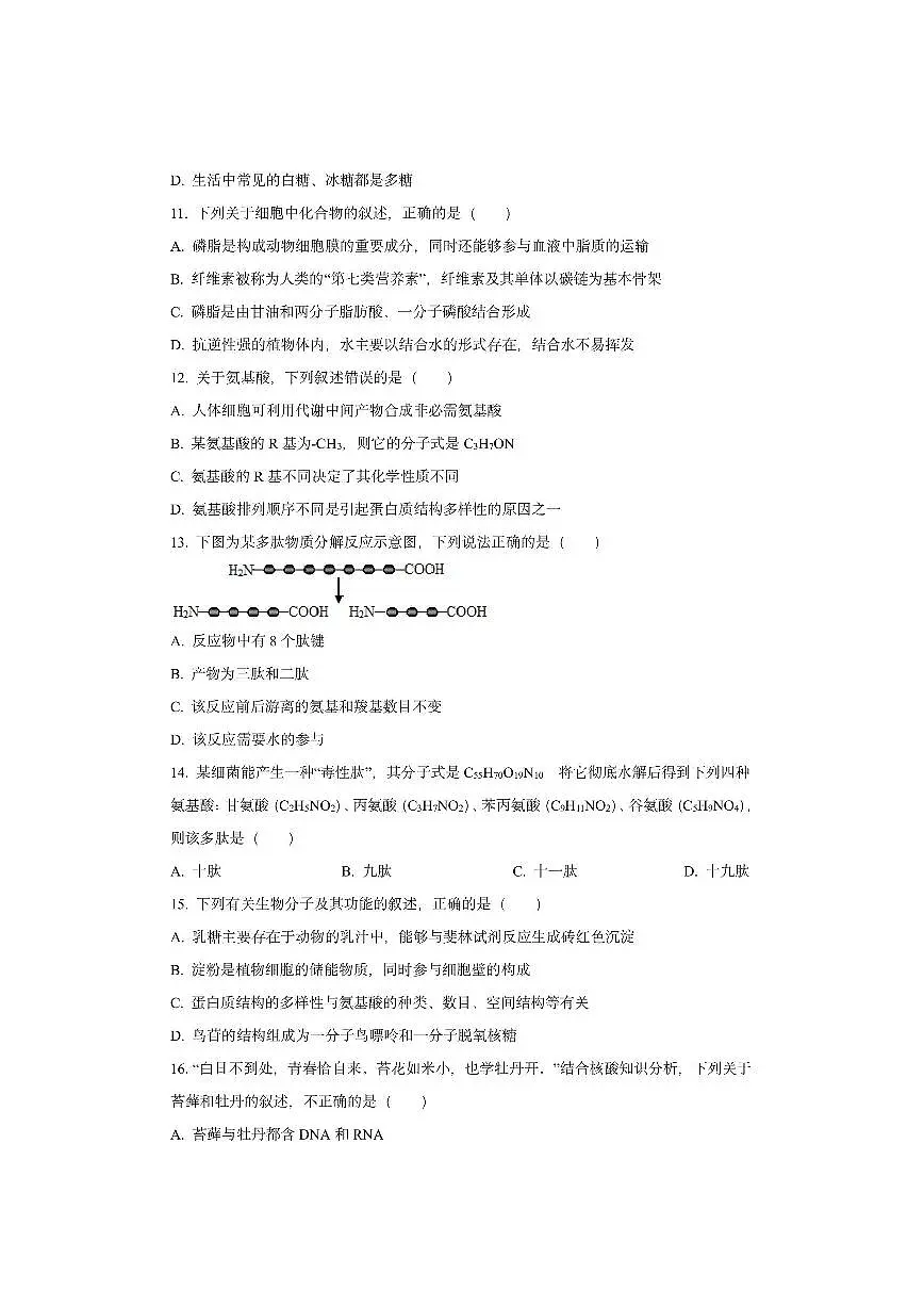 江苏省盐城中学2025-2026学年高一上学期10月第一次月考生物试卷（学生版）第3页