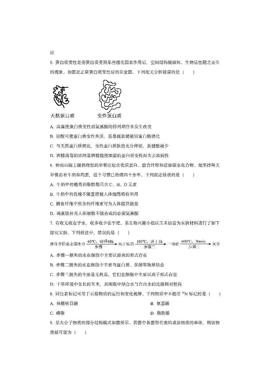 湖南省长沙市天心区某校2025-2026学年高一上学期11月期中生物试卷（学生版）第2页