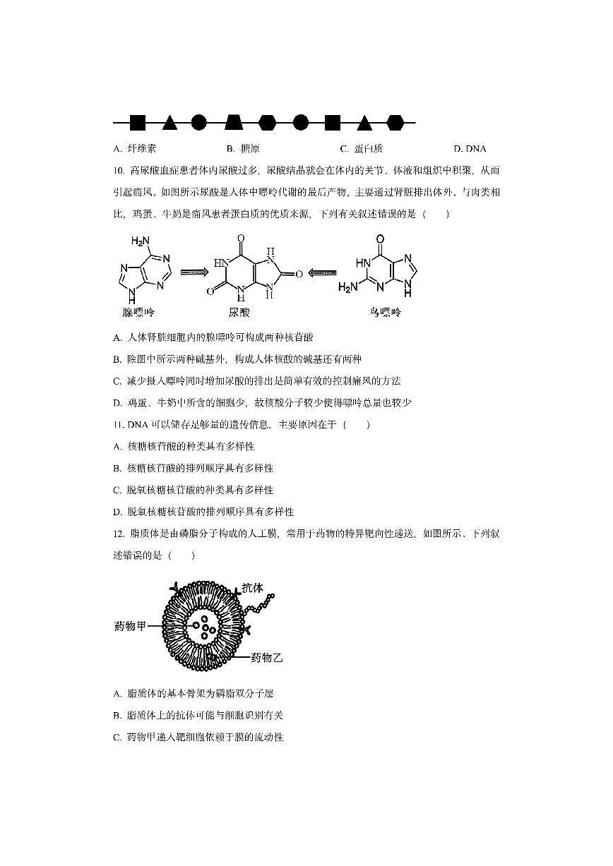 湖南省长沙市天心区某校2025-2026学年高一上学期11月期中生物试卷（学生版）第3页