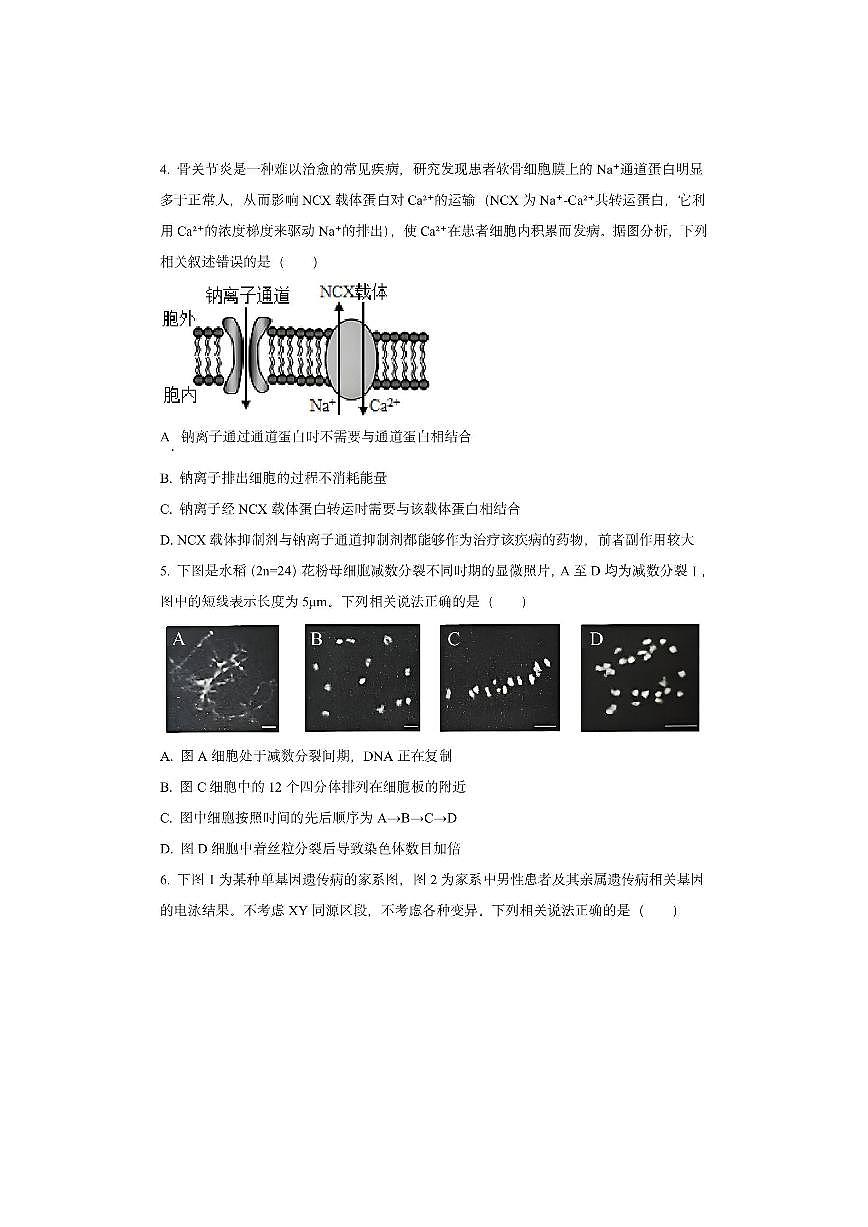 山西省运城市2025-2026学年高三上学期期中生物试卷（学生版）第2页