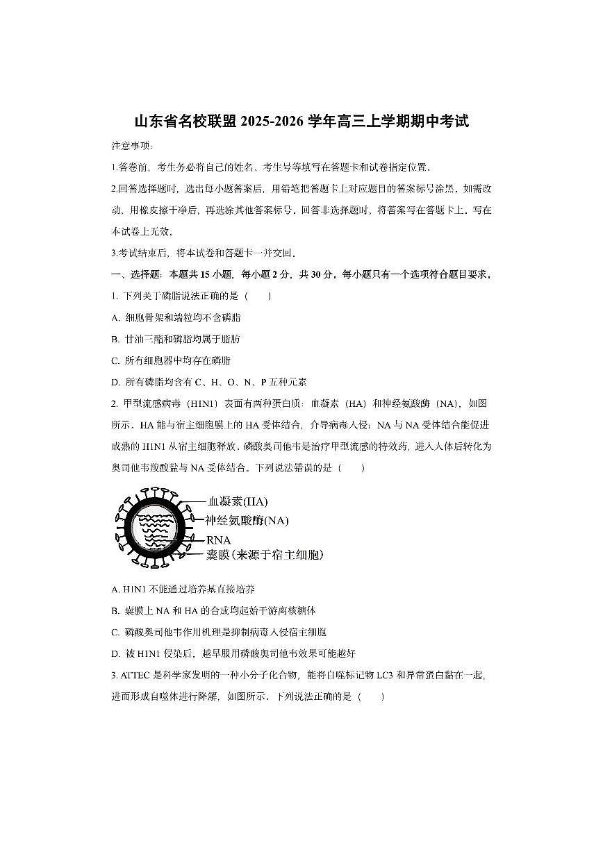 山东省名校联盟2025-2026学年高三上学期期中考试生物试卷（学生版）第1页