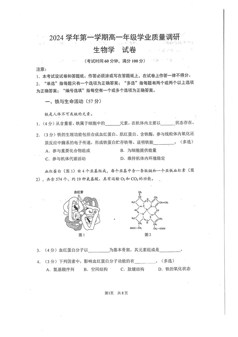 上海市闵行区2024-2025学年高一上学期期末生物试题第1页