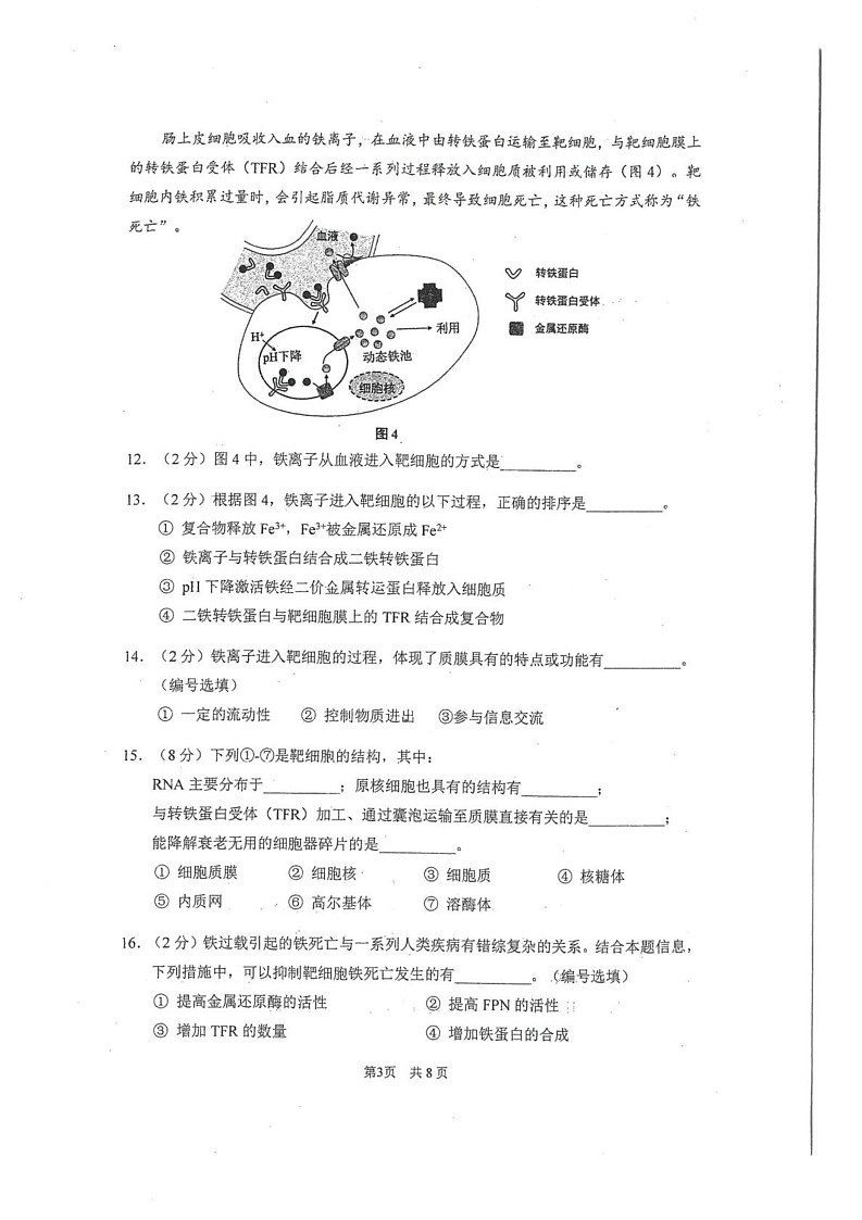 上海市闵行区2024-2025学年高一上学期期末生物试题第3页