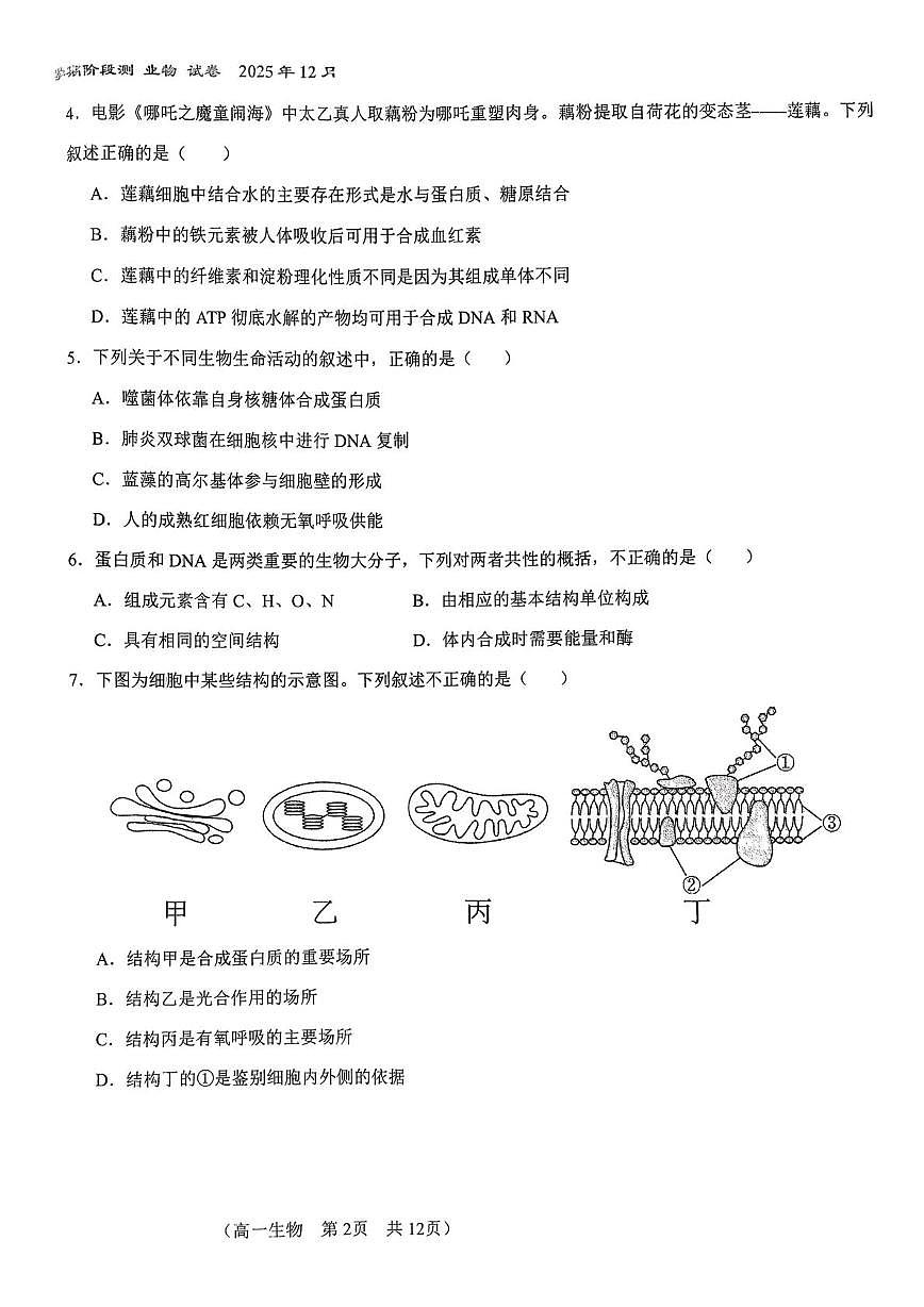 北京市朝阳区北京市第八十中学2025-2026学年高一上学期12月月考生物试题第2页
