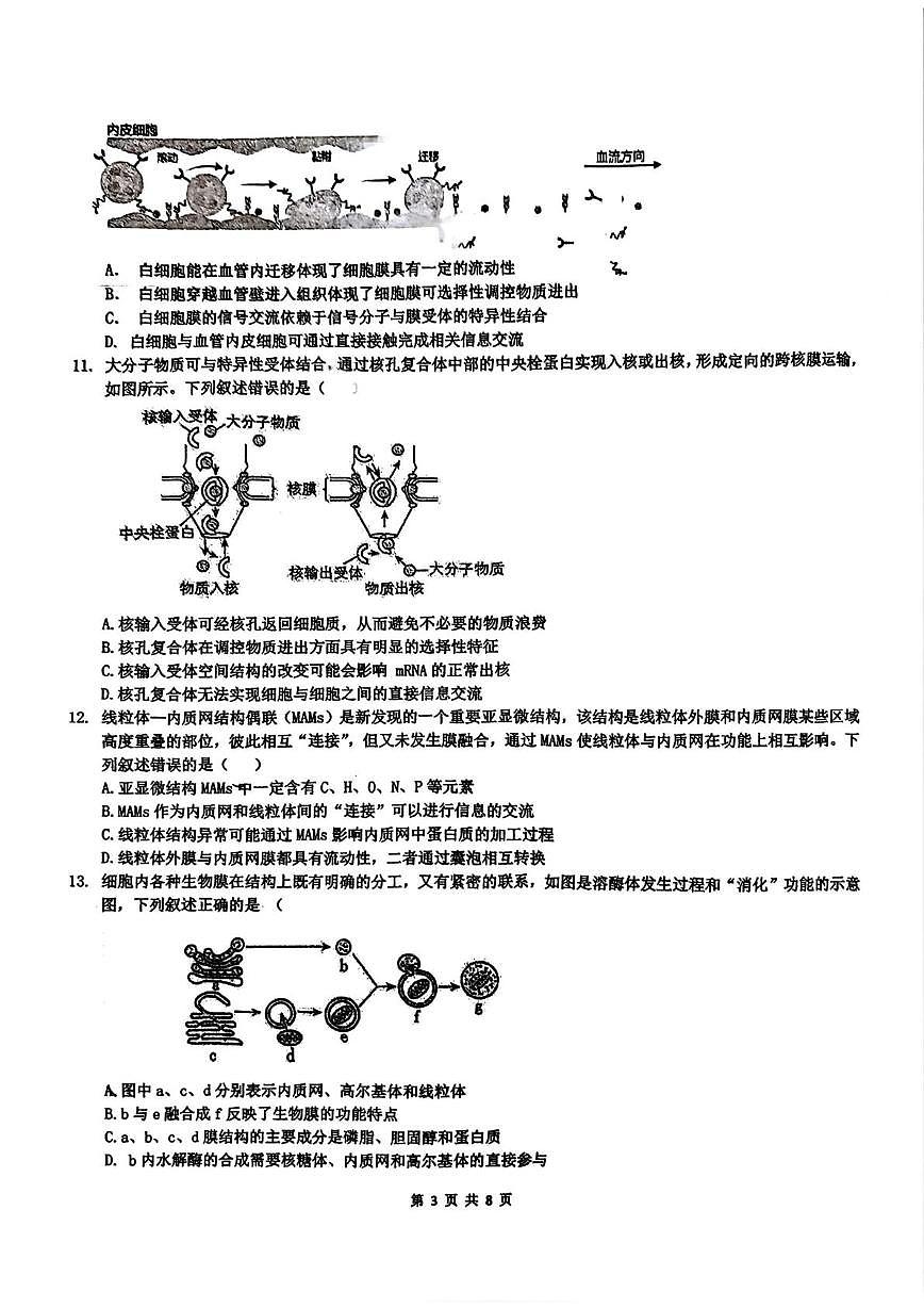 重庆实验外国语学校2025-2026学年高一上学期12月检测生物试题第3页