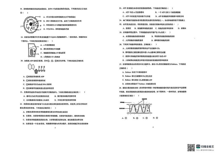 浙江省宁波实验中学2025-2026学年高一上学期12月月考生物试题第2页
