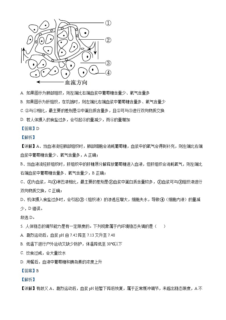 黑龙江省哈尔滨市第九中学校2025-2026学年高二上学期期中生物试题  Word版含解析第3页