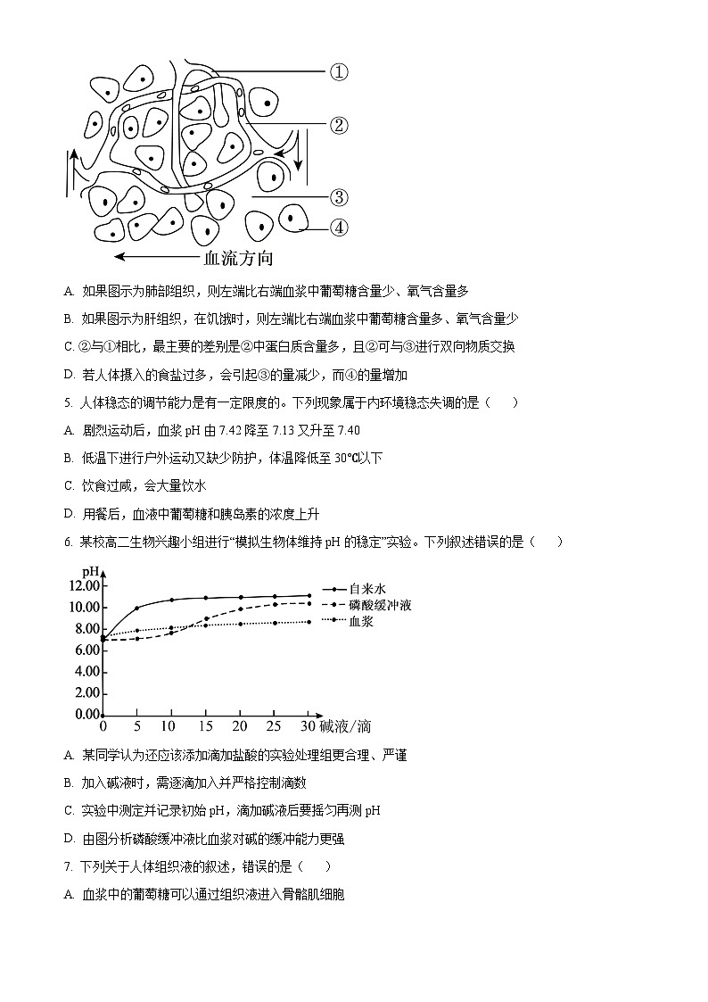 黑龙江省哈尔滨市第九中学校2025-2026学年高二上学期期中生物试题  Word版无答案第2页