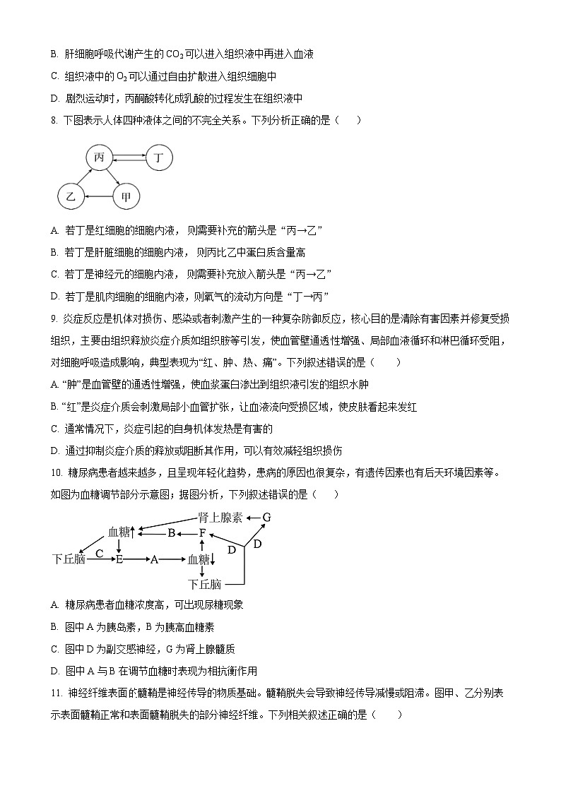 黑龙江省哈尔滨市第九中学校2025-2026学年高二上学期期中生物试题  Word版无答案第3页