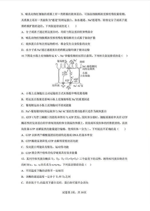辽宁省实验中学2025-2026学年高一上学期12月月考生物试卷（含答案）第3页