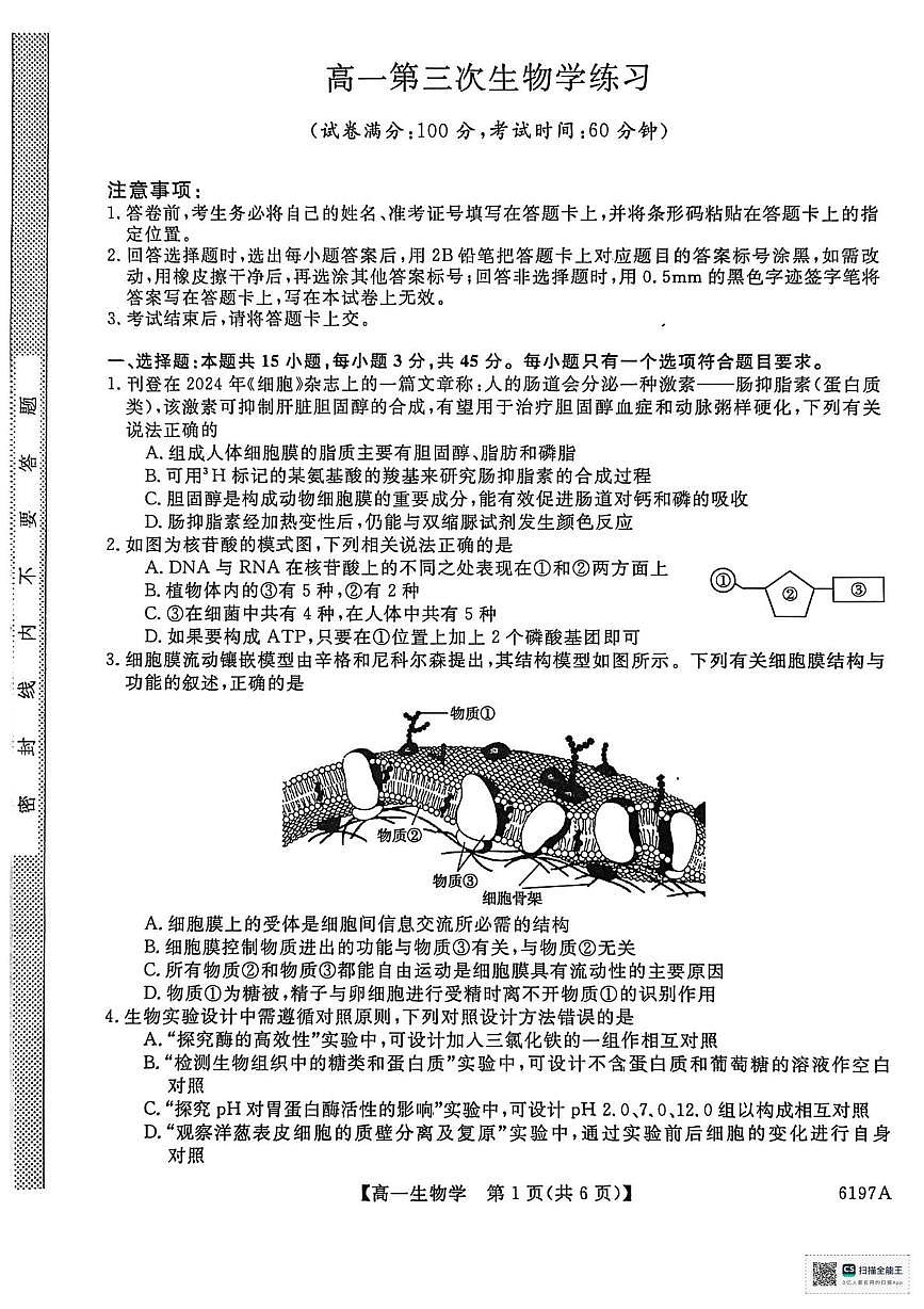 山东省菏泽市鄄城县第一中学2025-2026学年高一上学期12月月考生物试题（PDF版，含部分解析）第1页