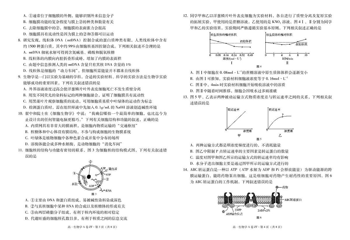 云南省昭通一中教研联盟2025-2026学年高一上学期期中考试生物（A）试卷（PDF版）第2页